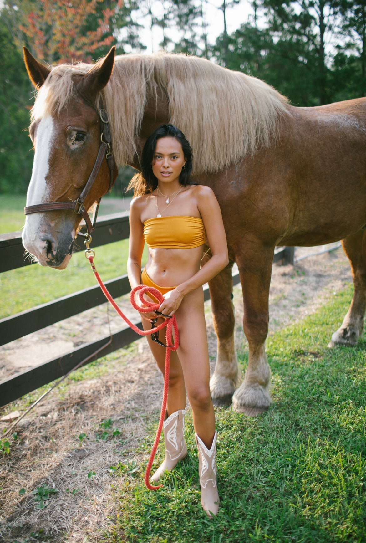 Lauren Strapless Top